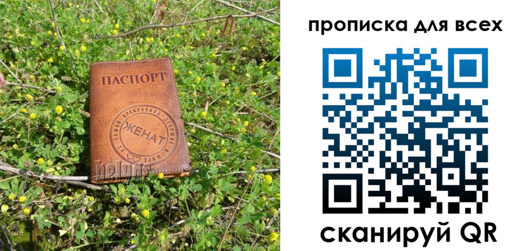 прописка поиск в Советске